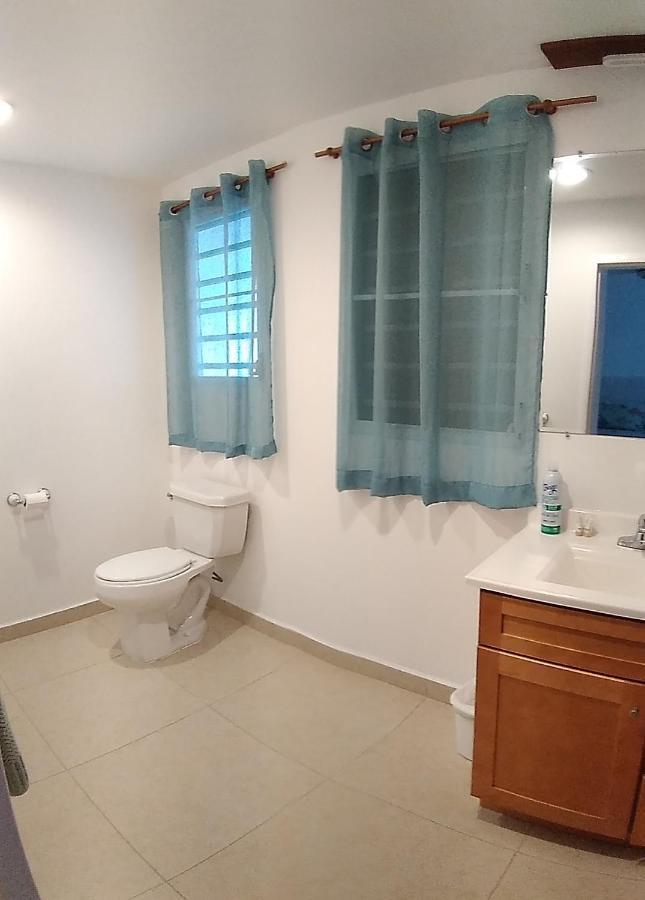 The Horny Toad Guest House Simpson Bay Exterior photo